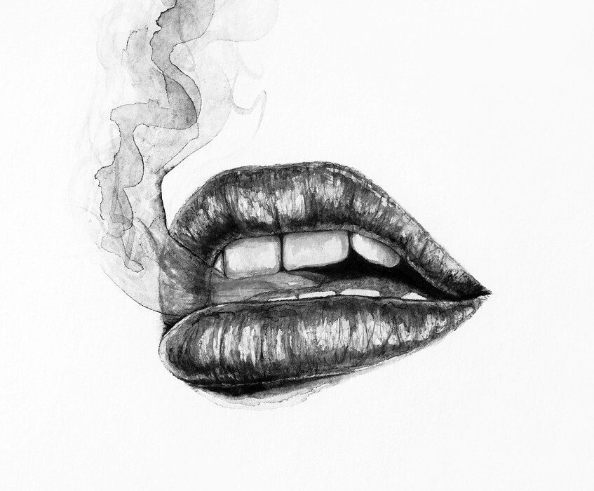 Alles wat je moet weten over Cannabis